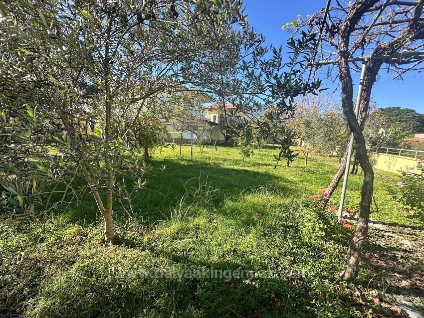 Прекрасная Возможность Для Совместного Проживания — Неограниченный Потенциал На Участке Площадью 1000 М²