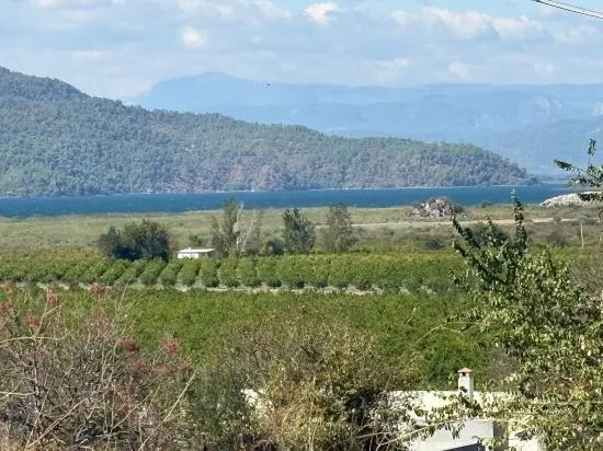 В Karadağ одна возможность, добавляющая ценность земле