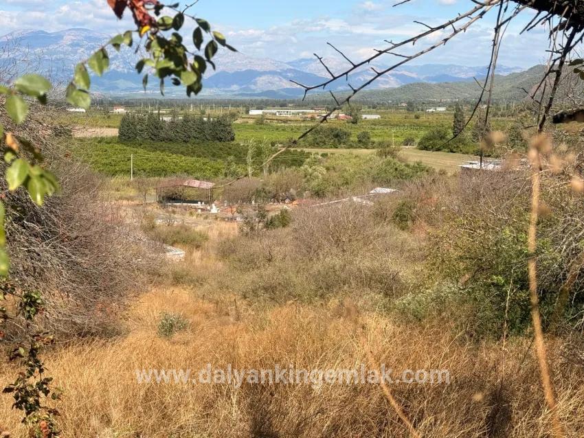 Ortaca Dalyan Mah. Satılık Tarla - Tarla İmar Durumlu - 5.000 m²