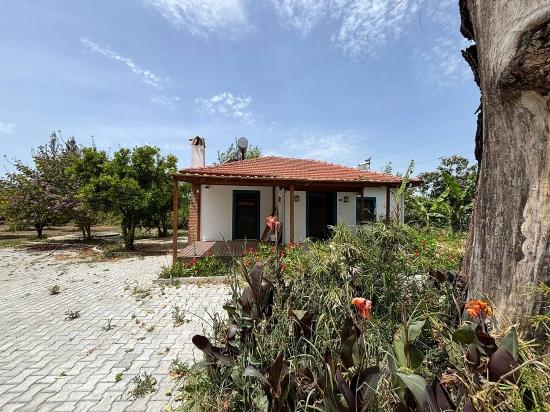 Dalyan Eskiköyde Kiralık Müstakil Ev
