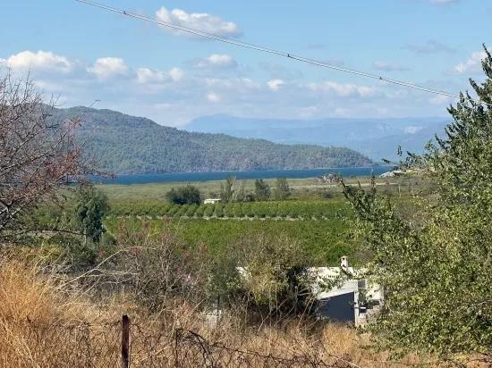 Karadağ’da Toprağa Değer Katan Bir Fırsat