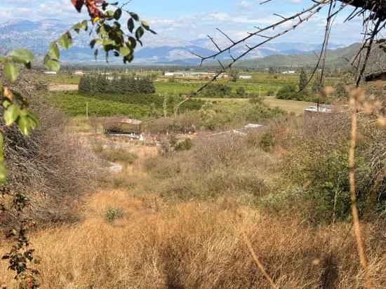 Karadağ’da Toprağa Değer Katan Bir Fırsat