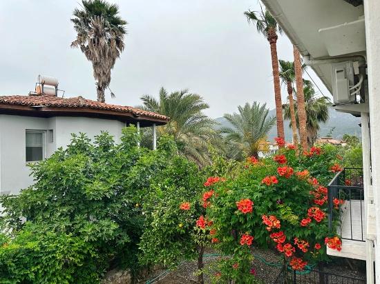 Casa De Sartori – Dalyan’da Akdeniz Esintisi