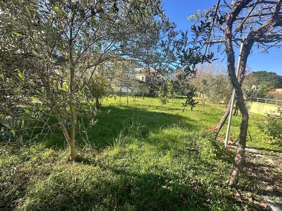 Dalyan Gülpınar 'da 1000 M2 Arsa İçerisinde Satılık Ev