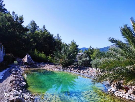 Gökbel’de Eşsiz Deniz Manzaralı 7 Odalı Lüks Malikâne – 5.000 M² Arsada Prestijli Bir Ya