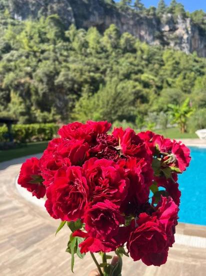 Dalyan Okçular Da Satılık Dubleks Villa *fiyat Düştü *