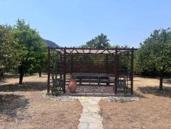 Geniş Arsa 'Ya Sahip Geleneksel Türk Evi