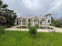Ortaca Dalyan Mah. Satılık 2+1 Villa - 1.000 m²
