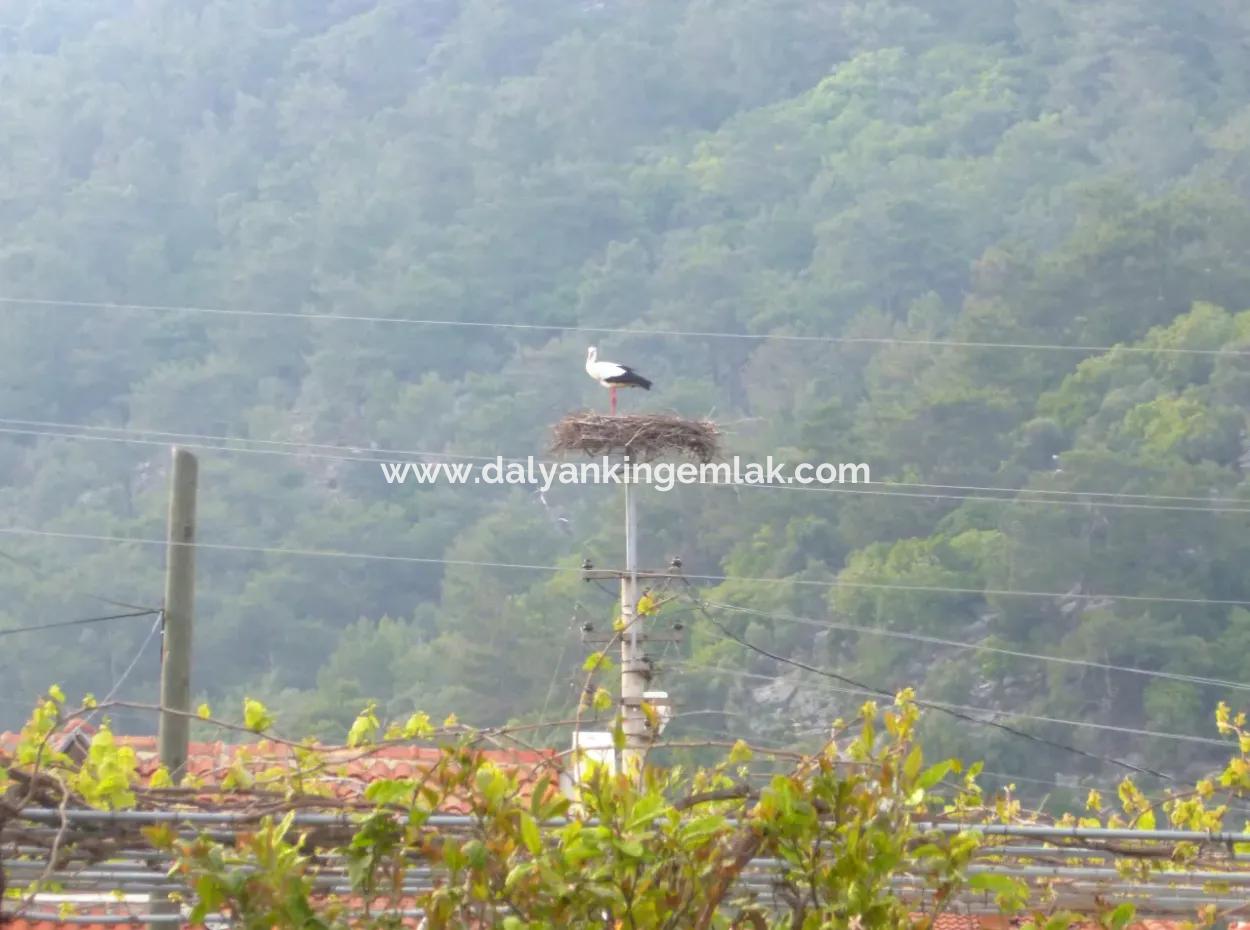 Dalyan Kral Mezarları Manzaralı Satılık Villa