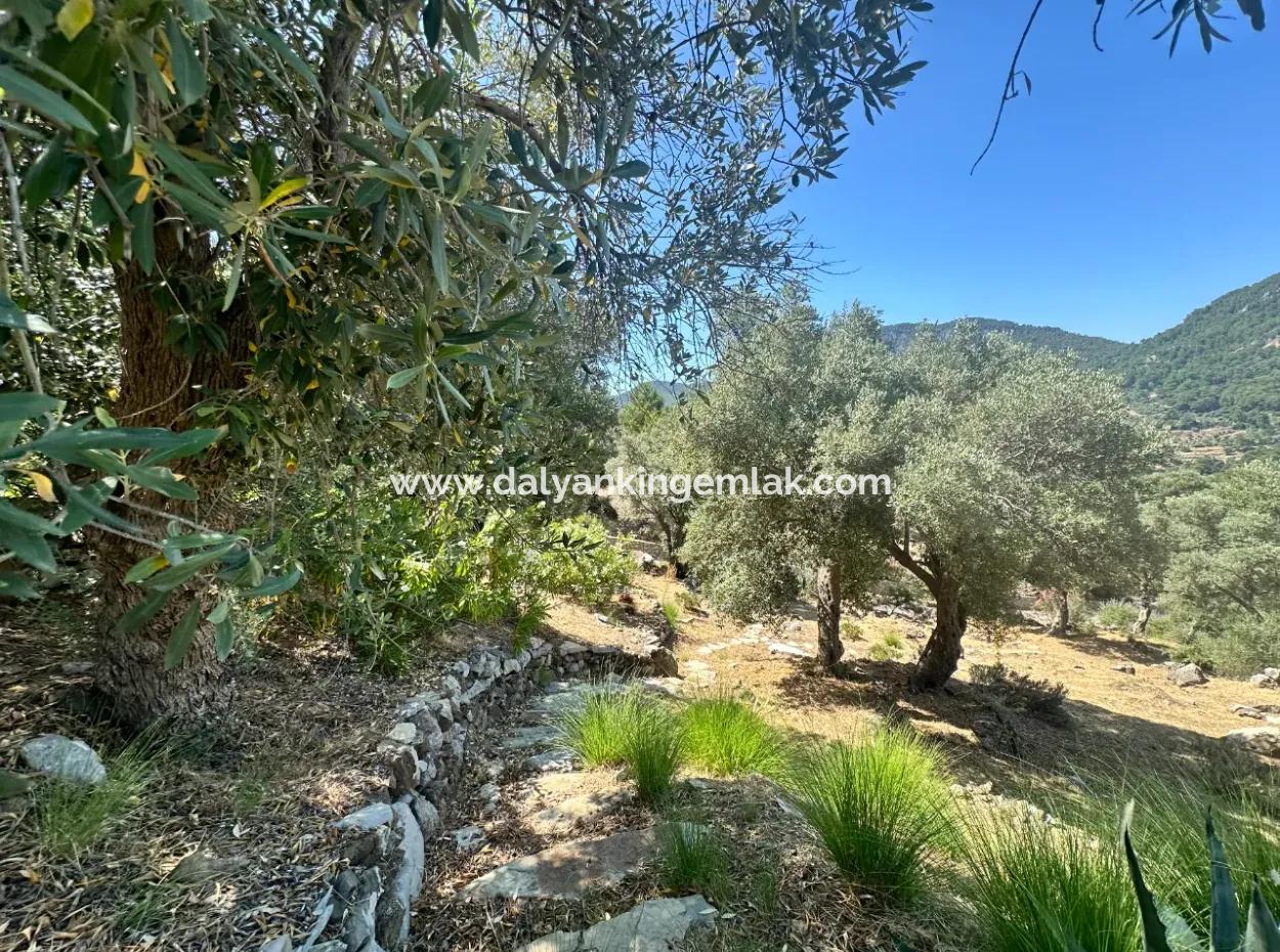 Dalyan Gökbel De Full İztuzu Plajı Ve Deniz Manzaralı Satılık Villa