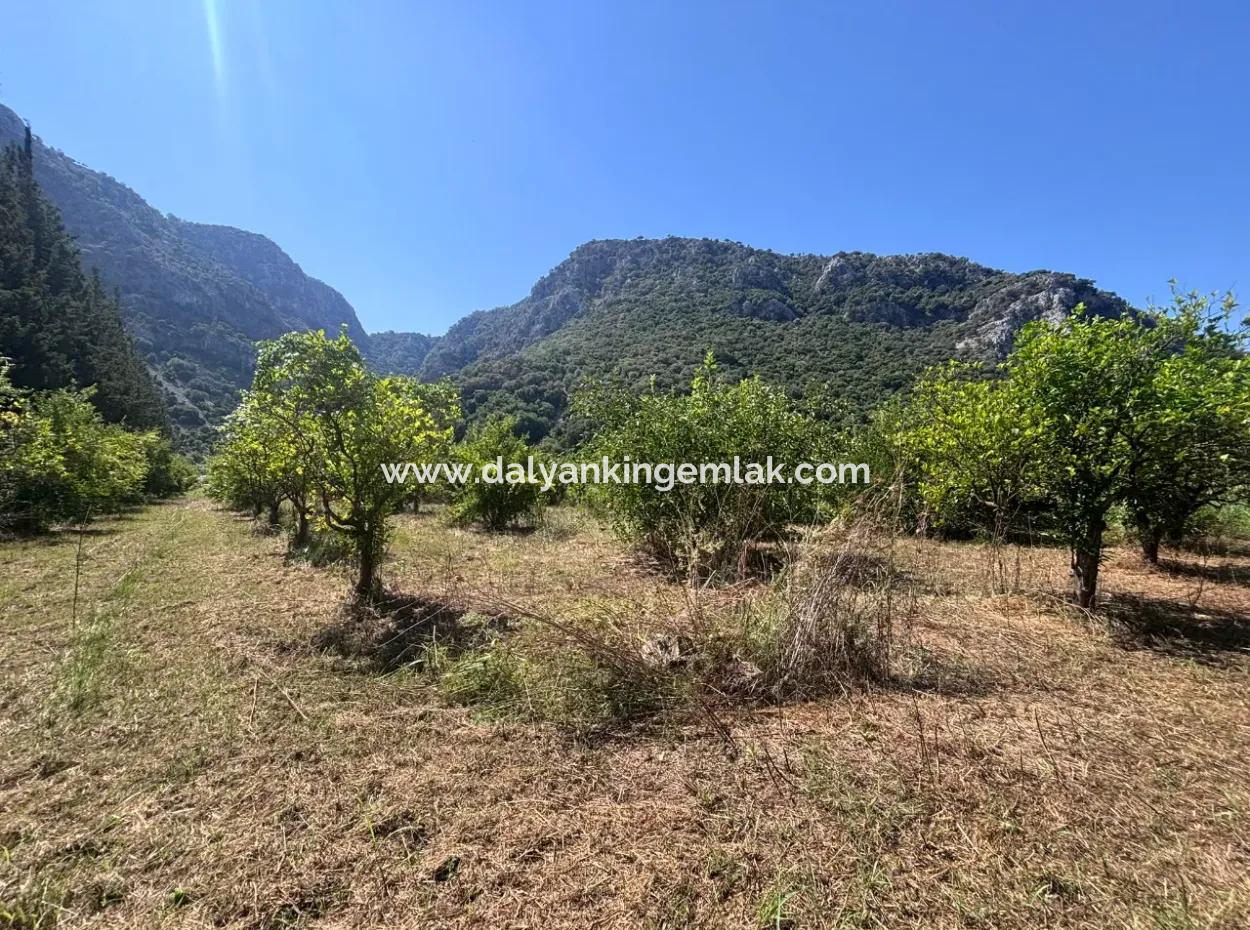 Dalyan Marmarlı Da 4011 M2 Arsa İçerisinde Satılık Villa