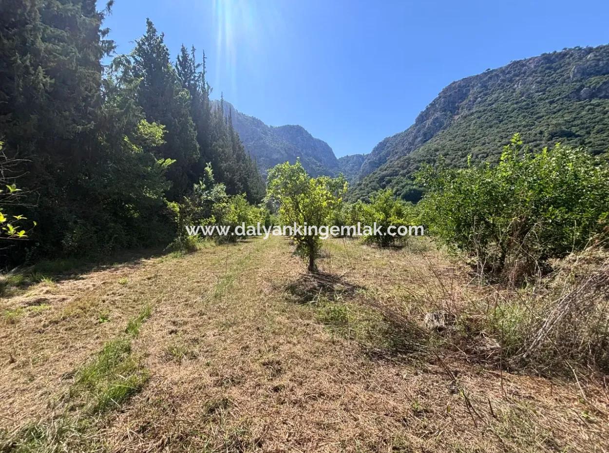 Dalyan Marmarlı Da 4011 M2 Arsa İçerisinde Satılık Villa