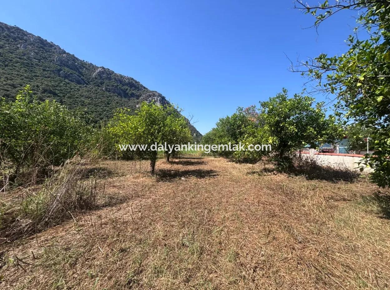 Dalyan Marmarlı Da 4011 M2 Arsa İçerisinde Satılık Villa