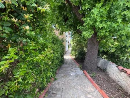 Dalyan Merkezde Ortak Havuzlu Eşyalı Triplex Villa