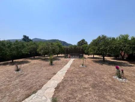 Okcular 3+2 Mustakıl Ev Ve Arsa