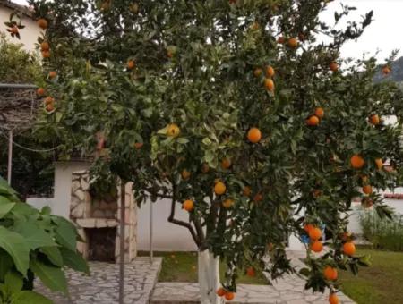 Dalyan Arıkbaşı Nda Satılık 1357 M2 Arsa İçersinde Bungalow