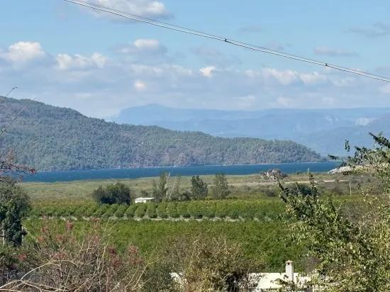 Karadağ’da Toprağa Değer Katan Bir Fırsat